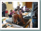 Klicken Sie auf das Bild, um es zu vergrößern