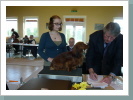 Klicken Sie auf das Bild, um es zu vergrößern