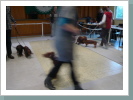 Klicken Sie auf das Bild, um es zu vergrößern