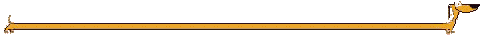 Dachlink2